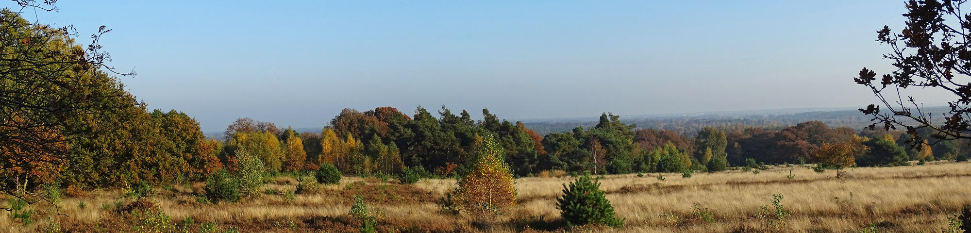 Holterberg pano