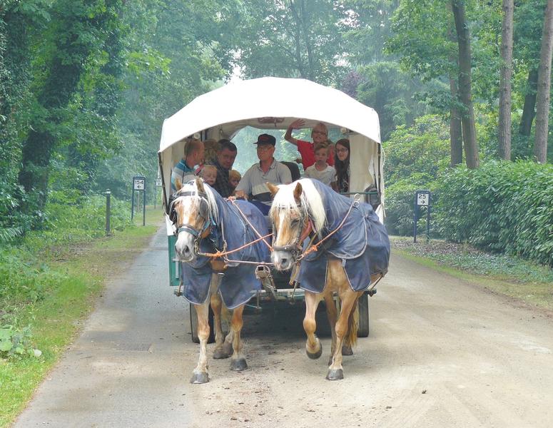 Casa Familia Salland huifkartocht 03