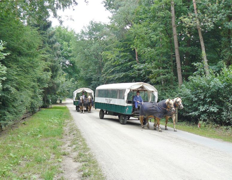 Casa Familia Salland huifkartocht 09