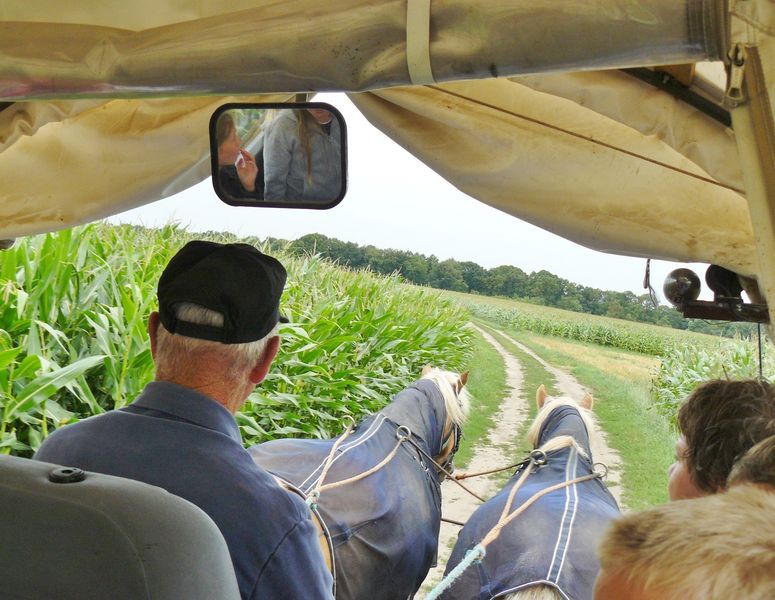 Casa Familia Salland huifkartocht 11