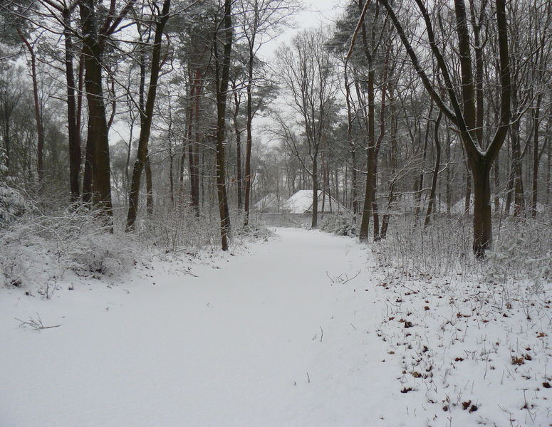 Christelijk vakantiepark Casa Familia Holten wintervakantie 11