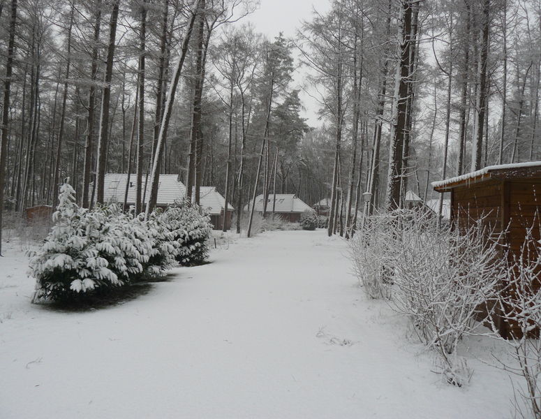 Christelijk vakantiepark Casa Familia Holten wintervakantie 12