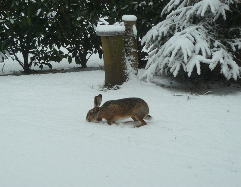 Christelijk vakantiepark Casa Familia Holten wintervakantie 19