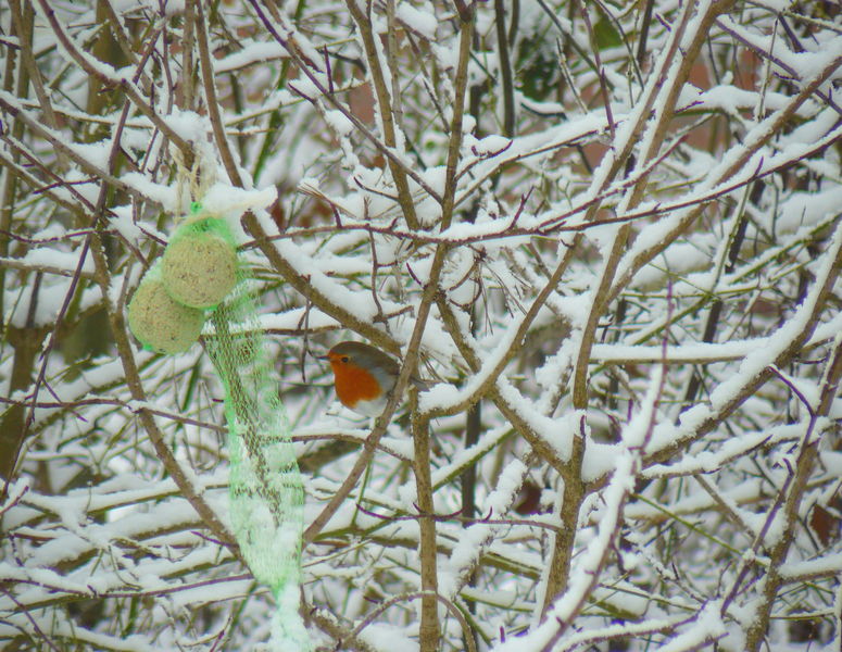 Christelijk vakantiepark Casa Familia Holten wintervakantie 20